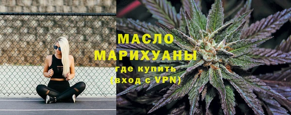 сатива Вяземский