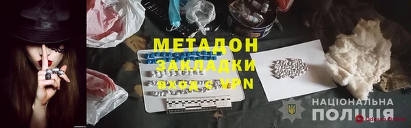 сатива Вяземский