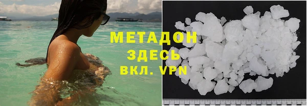 сатива Вяземский