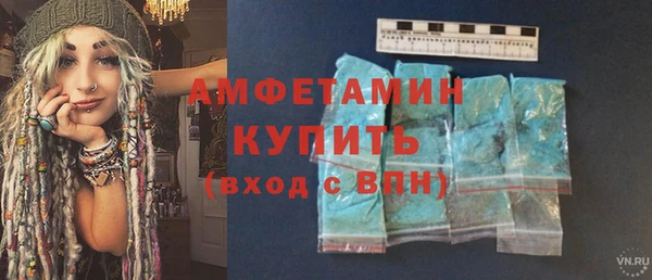 сатива Вяземский