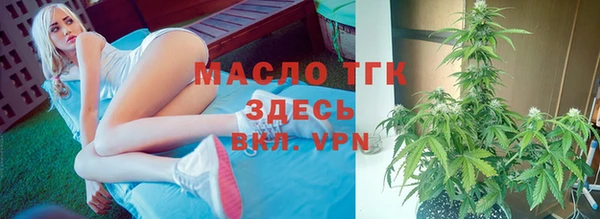 сатива Вяземский