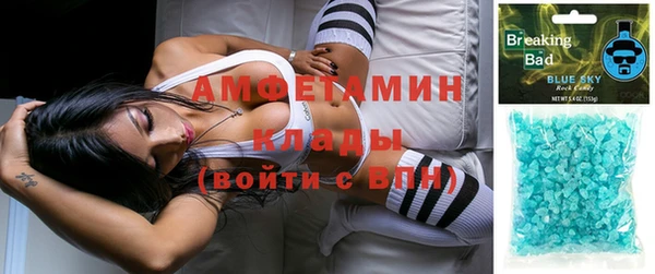 сатива Вяземский