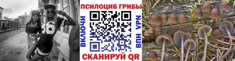 Купить  Альметьевск  Галлюциногенные грибы GOLDEN TEACHER 